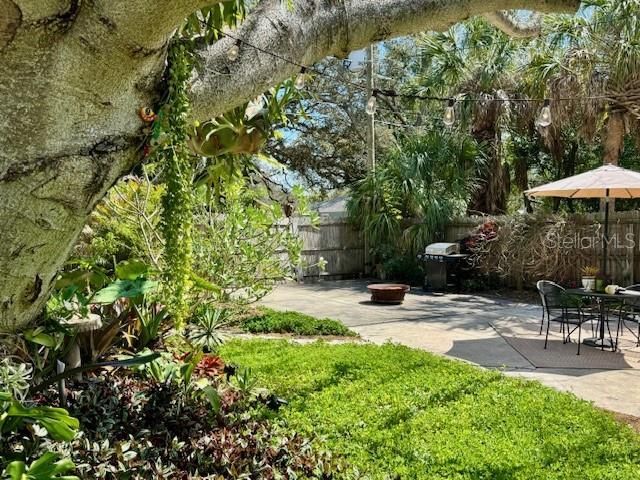 1720 Scranton Street S, Saint Petersburg, FL 33711 Photo