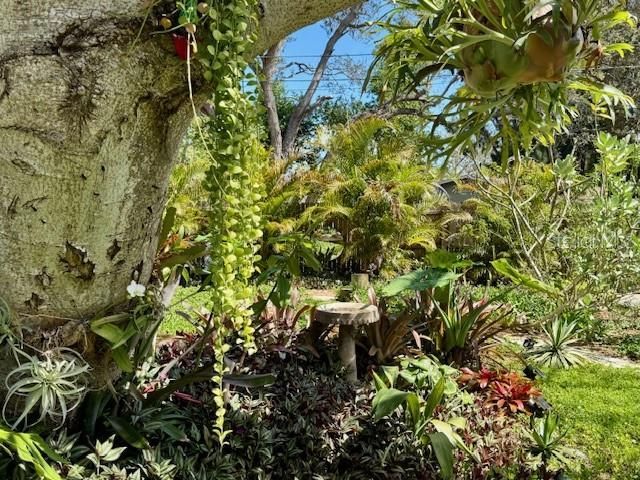 1720 Scranton Street S, Saint Petersburg, FL 33711 Photo