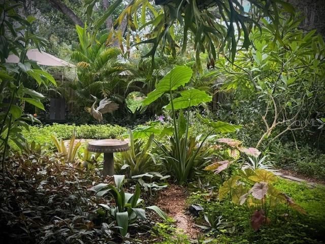 1720 Scranton Street S, Saint Petersburg, FL 33711 Photo