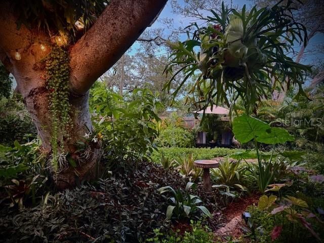 1720 Scranton Street S, Saint Petersburg, FL 33711 Photo