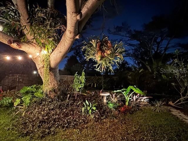 1720 Scranton Street S, Saint Petersburg, FL 33711 Photo