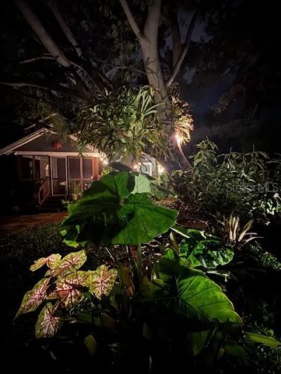 1720 Scranton Street S, Saint Petersburg, FL 33711 Photo