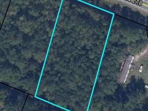 4665 COUNTY ROAD 218, Middleburg, FL 32068