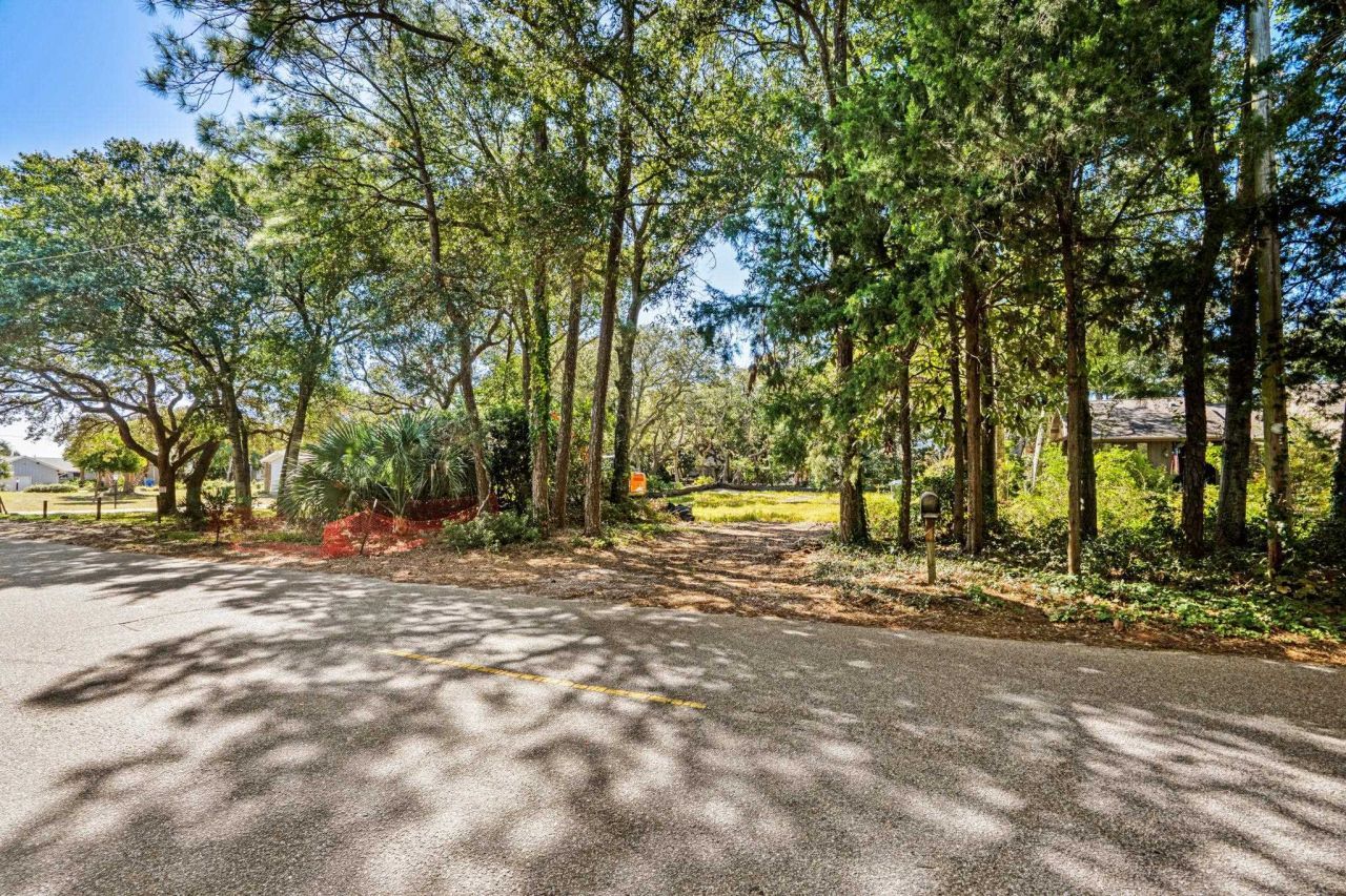 203 82nd Ave. N Photo 2