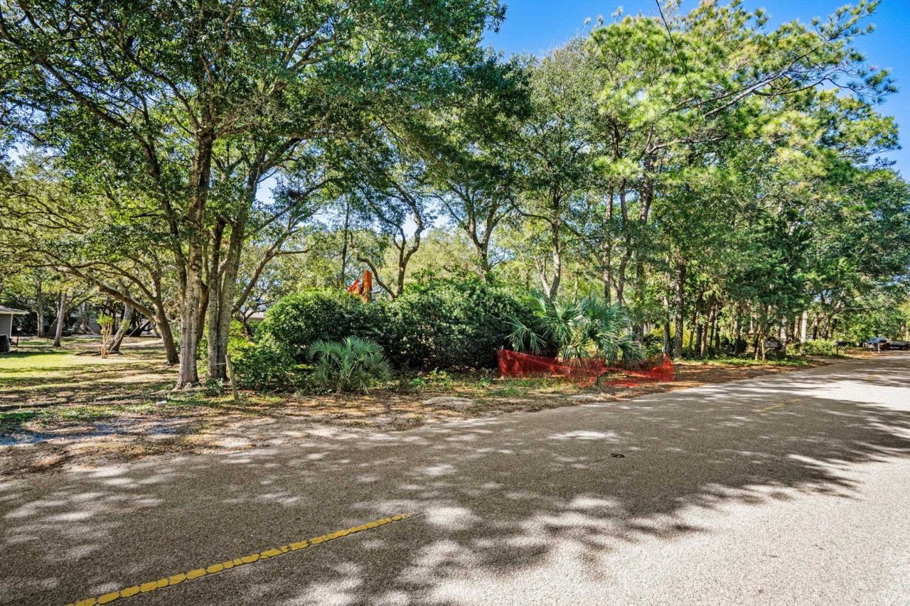 203 82nd Ave. N Photo 3