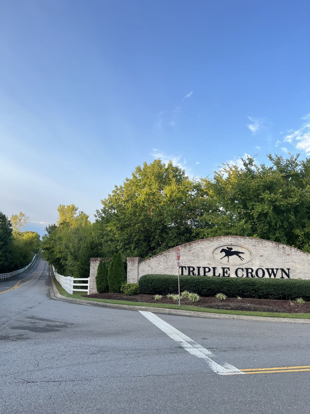 4008 Omaha Ct, Mount Juliet, TN 37122 Main Photo