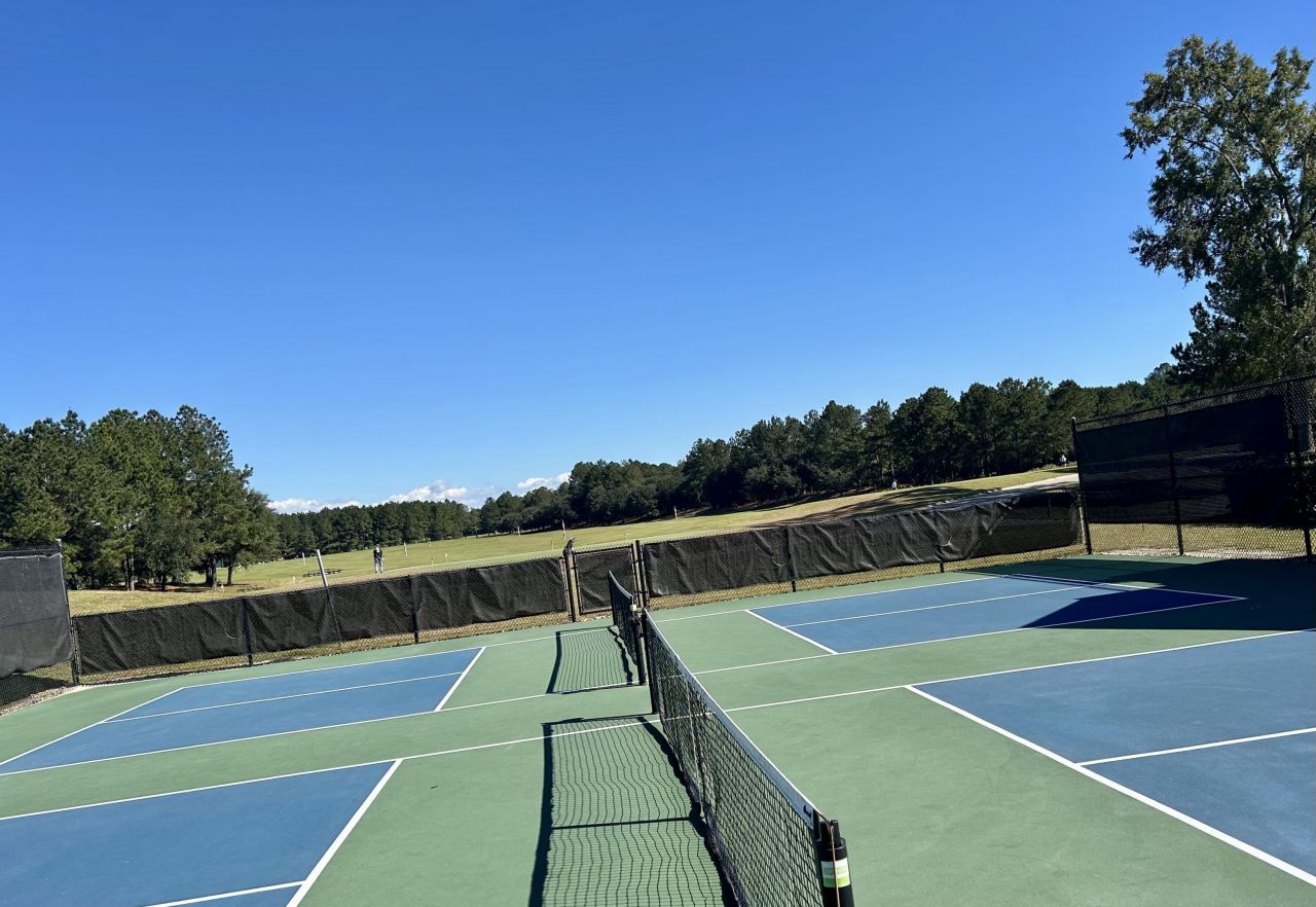 1541 Club Way Photo 58