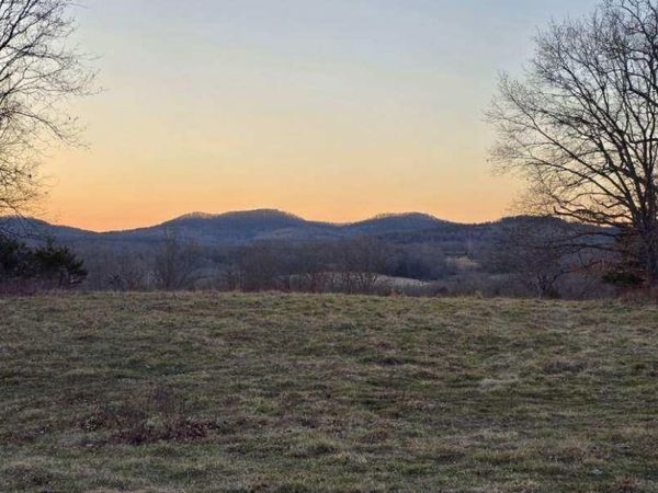 12134 State Hwy D, Thornfield, MO 65762