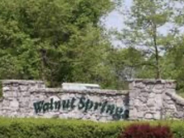 000 Panorama Drive, Unit Lot 162, Cape Fair, MO 65624