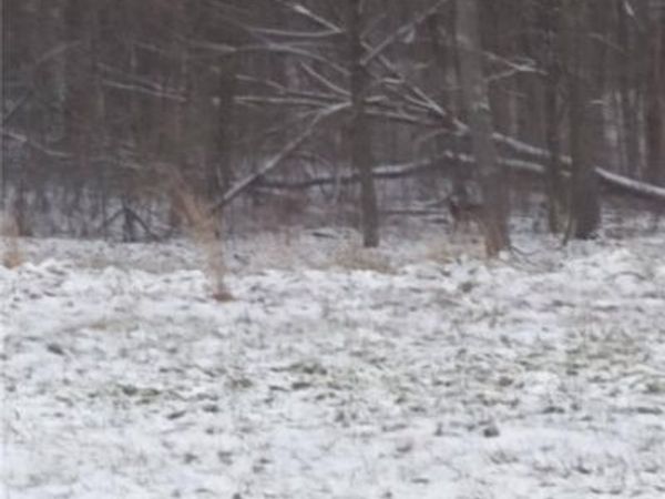 61000 Bolar Road, McArthur, OH 45342