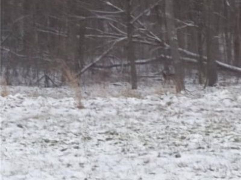 61000 Bolar Road, McArthur, OH 45342 Photo 1