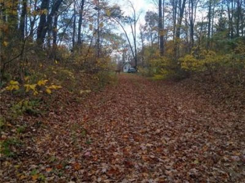 61000 Bolar Road, McArthur, OH 45342 Photo 2