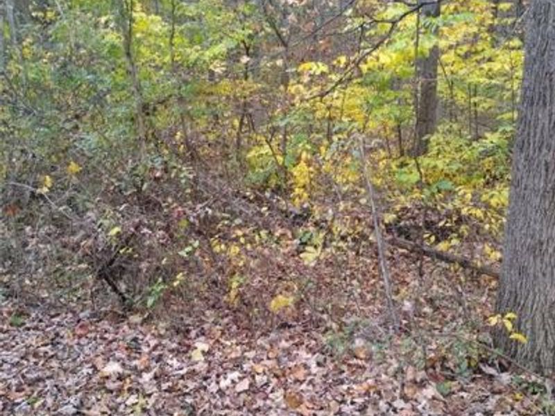 61000 Bolar Road, McArthur, OH 45342 Photo 2