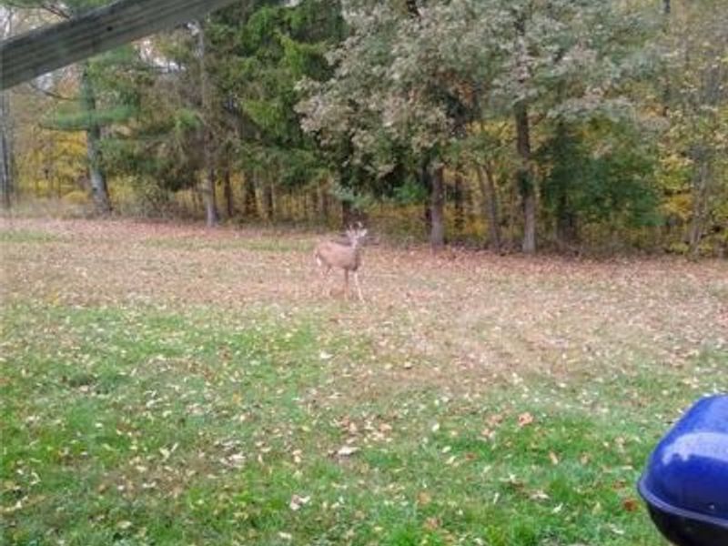 61000 Bolar Road, McArthur, OH 45342 Photo 4