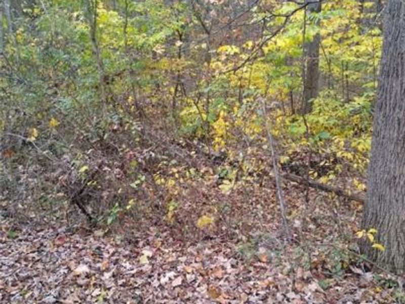 61000 Bolar Road, McArthur, OH 45342 Photo 5