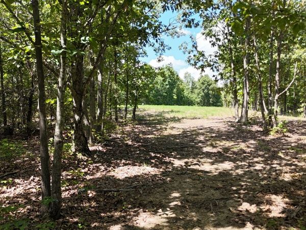 113 Chestnut Dr, Linden, TN 37096