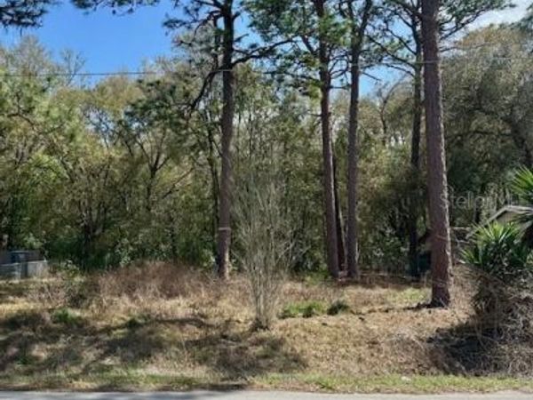 TBD SE 99TH TERRACE, BELLEVIEW, FL 34420