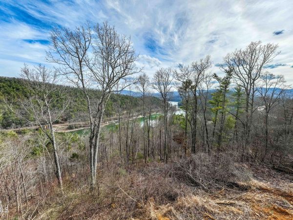Tbd Mountain Wynd Drive, Butler, TN 37640