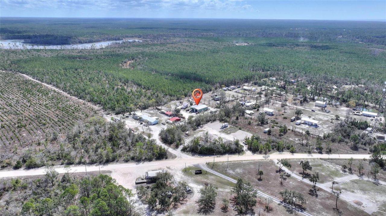 19550 Jody Morgan Road S, Perry, FL 32348 Photo