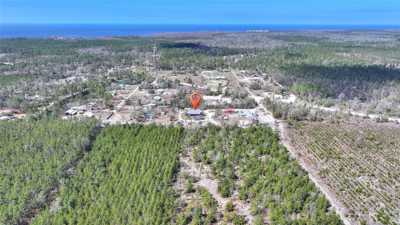 19550 Jody Morgan Road S, Perry, FL 32348 Photo