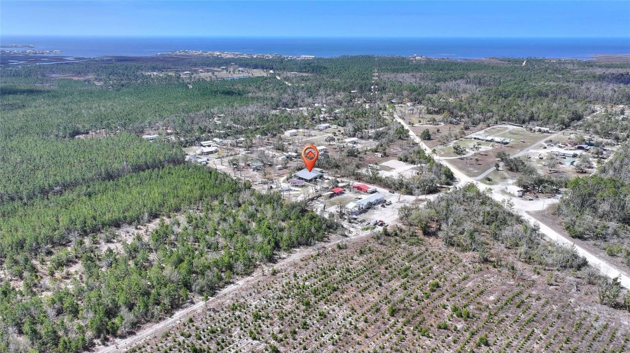 19550 Jody Morgan Road S, Perry, FL 32348 Photo