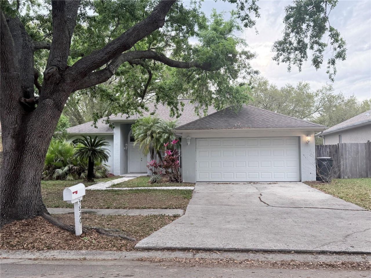 3820 Cypress Meadows Road, Tampa, FL 33624 Main Photo