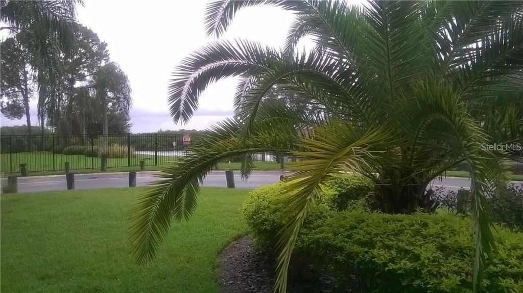 8802 Bay Pointe Drive, Unit 102, Tampa, FL 33615 Photo