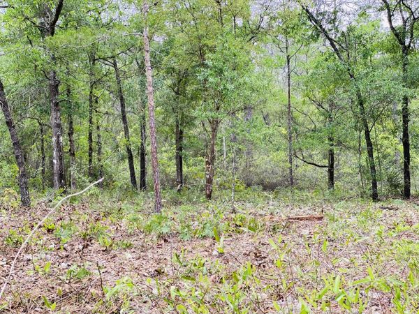 E Black Cherry Dr, DeFuniak Springs, FL 32433