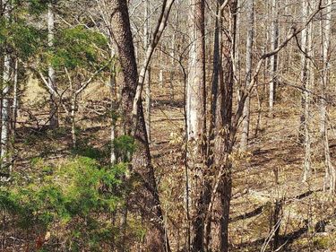 460 JEFFERSON , Palmyra, VA 22963