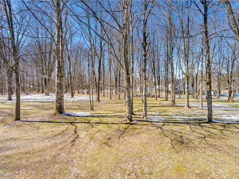 4769 Hoagland Blackstub Road , Cortland, OH 44410 Photo 14