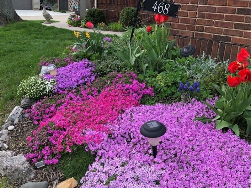 468 High Street, Wadsworth, OH 44281 Photo 26