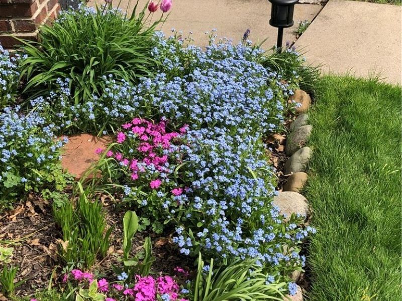 468 High Street, Wadsworth, OH 44281 Photo 27