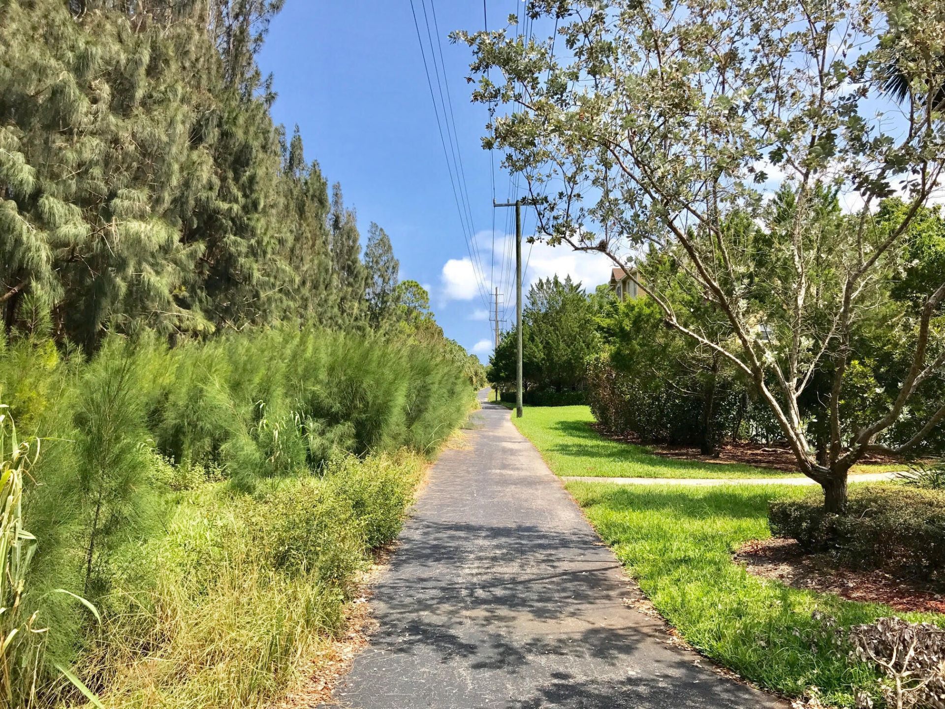 110 Sea Plum Drive, Unit 103, Jupiter, FL 33458 Photo