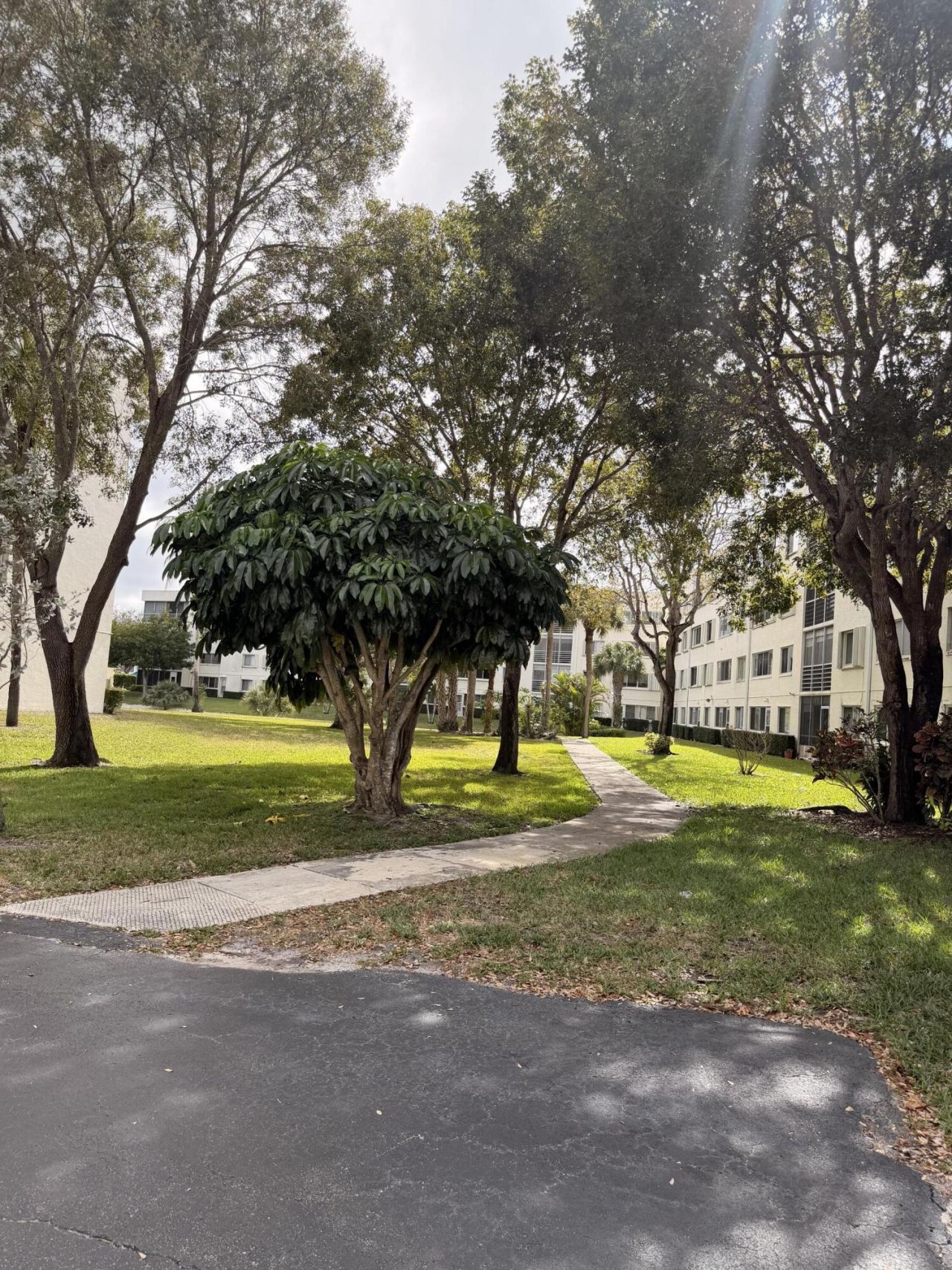3146 Via Ponciana, Unit 301, Lake Worth, FL 33467 Photo