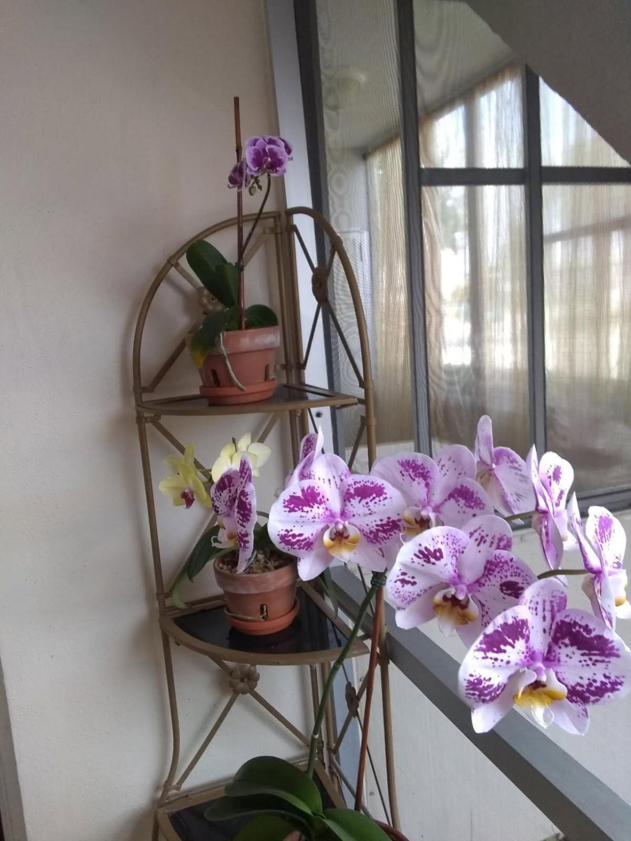 200 Stratford O, West Palm Beach, FL 33417 Photo