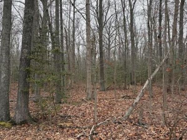 5280 CEDAR STREET, WEST RIVER, MD 20778
