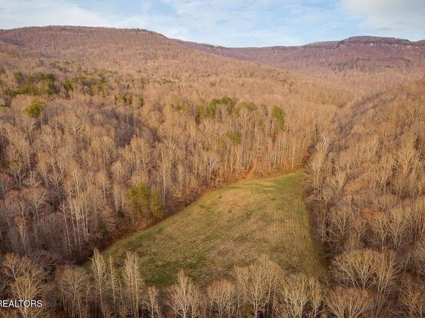 0 Buffalo Cove Lane, Jamestown, TN 38556