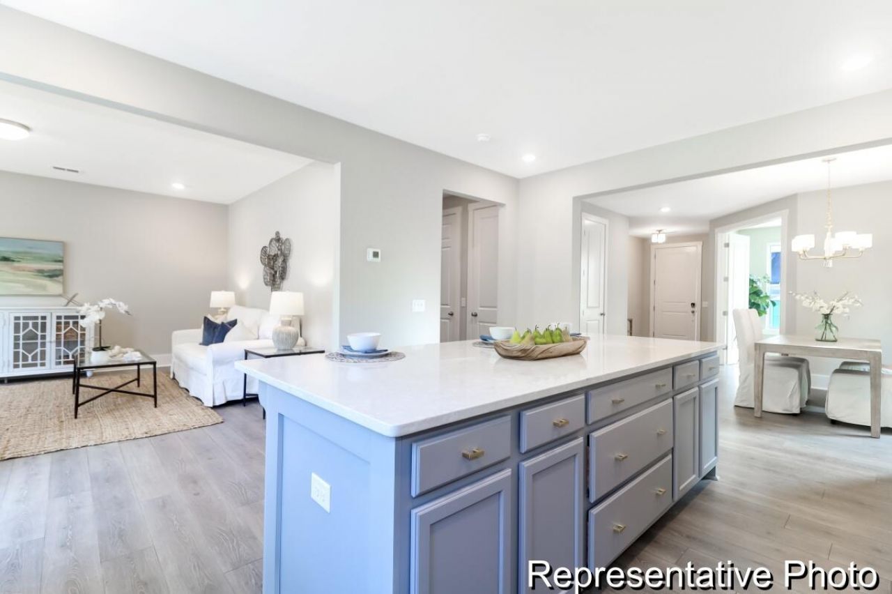 1002 Hooded Warbler Way Photo 11