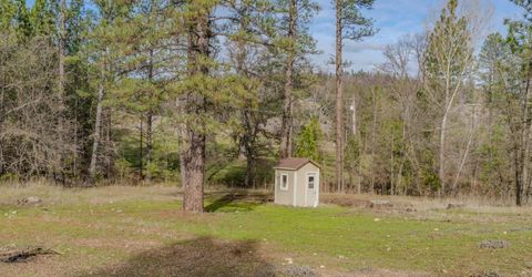 301 Bald Mountain Rd, West Point, CA 95255 Photo