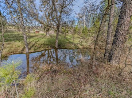 301 Bald Mountain Rd, West Point, CA 95255 Photo