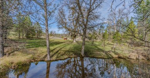 301 Bald Mountain Rd, West Point, CA 95255 Photo