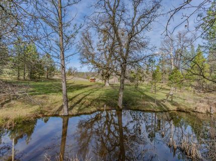 301 Bald Mountain Rd, West Point, CA 95255 Photo