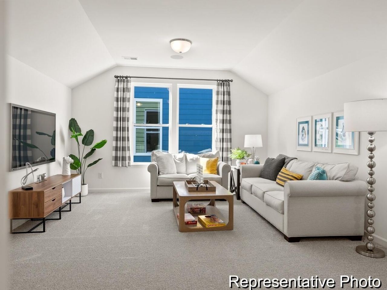 1005 Hooded Warbler Way Photo 17