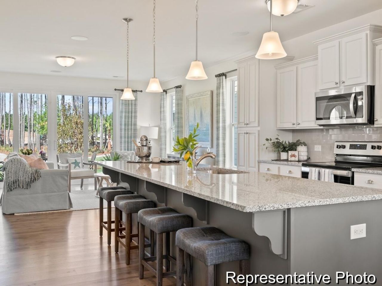 1005 Hooded Warbler Way Photo 4