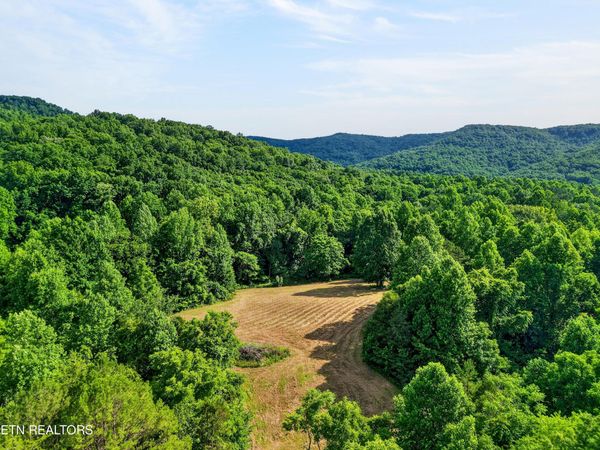 0 Buffalo Cove Lane, Jamestown, TN 38556
