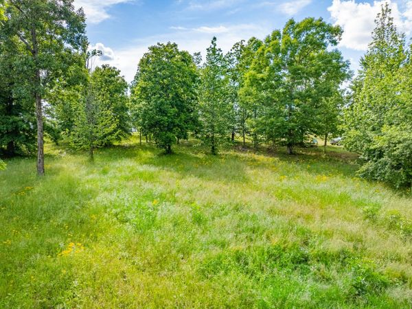 0 Wyshema Court, Mount Pleasant, TN 38474