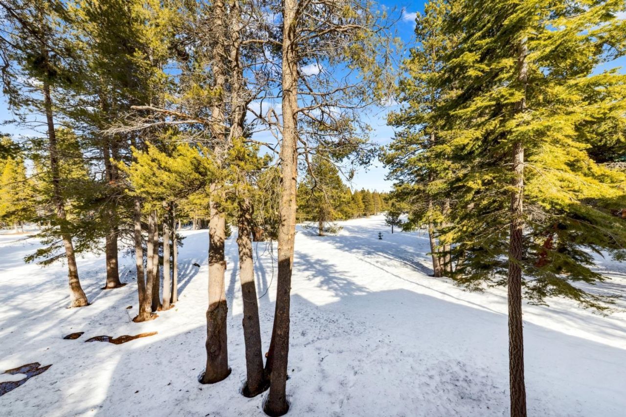 14820 Davos Drive, Truckee, CA 96161 Photo