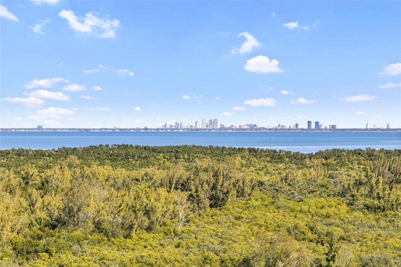 10851 Mangrove Cay Lane Ne, Unit 1112, Saint Petersburg, FL 33716 Photo