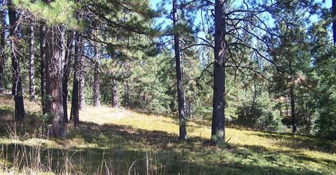 Parcel B Armstrong Rd, Sheep Ranch, CA 95250 Photo
