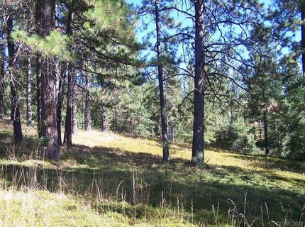 Parcel B Armstrong Rd, Sheep Ranch, CA 95250 Photo